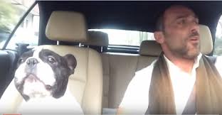 JaviYMar's tweet photo. Nos encanta este vídeo. El bulldog haciendo los coros de "Diamonds" de Rihanna
https://t.co/WuwZmFYaUt https://t.co/044dqsrPm2