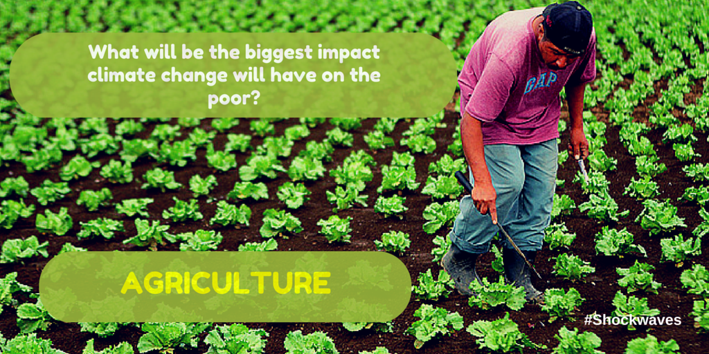 WorldBankGroup's tweet photo. The biggest impact #climatechange will have on the poor will be through #agriculture: https://t.co/VcNkAq5qiH #COP21 https://t.co/5okBMUJORo
