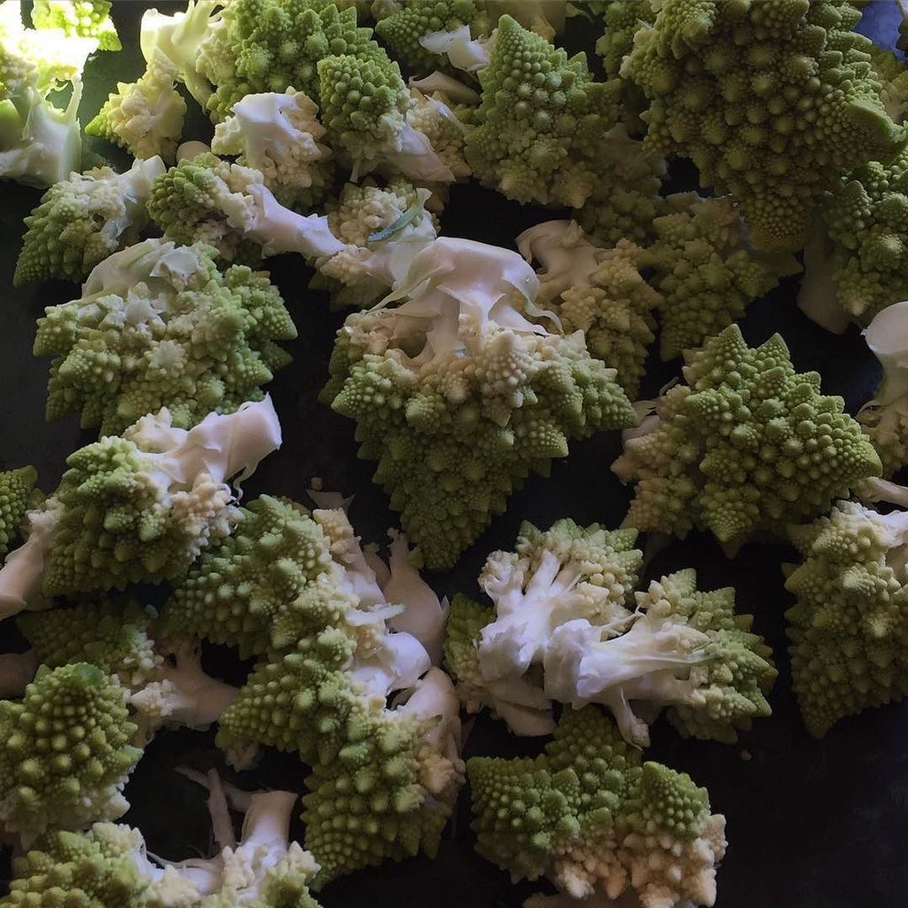 bryanfalchuk's tweet image. Is it #brocolli? #cauliflower? #kindasorta both. #romanesco #romanescobroccoli #romanescoc… ift.tt/1IjjokU