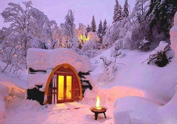 herbertmatteie's tweet image. 