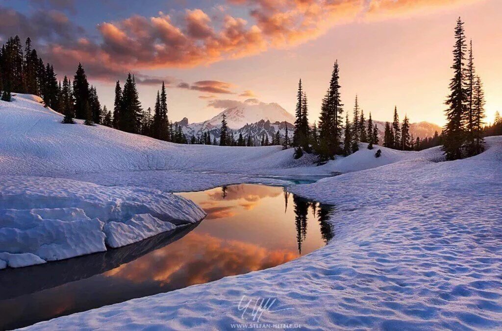 herbertmatteie's tweet image. 