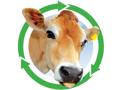 langage_farm's tweet photo. Did you know our award winning dairy in Plymouth is the UK's 1st carbon neutral dairy? See: https://t.co/UA1GXp9SdR https://t.co/9sqmVnVyWF