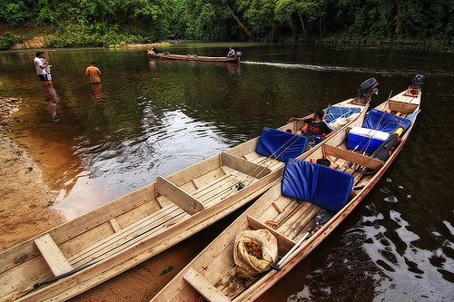 xcaperesort's tweet photo. Feed Kelah, the king of fresh water fish at Kelah Sanctuary. This is a must-do activity in your Taman Negara visit. https://t.co/TVJIXkAGWU
