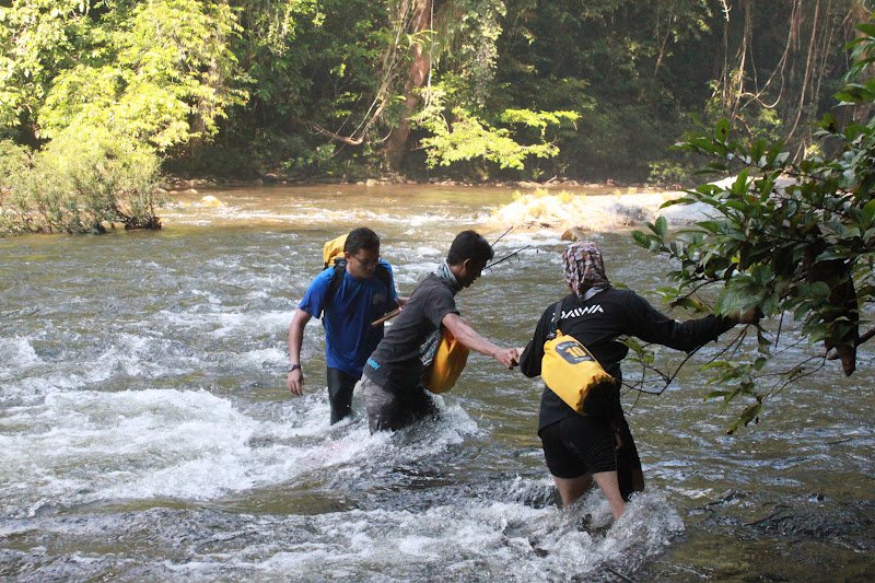 xcaperesort's tweet photo. Feed Kelah, the king of fresh water fish at Kelah Sanctuary. This is a must-do activity in your Taman Negara visit. https://t.co/TVJIXkAGWU