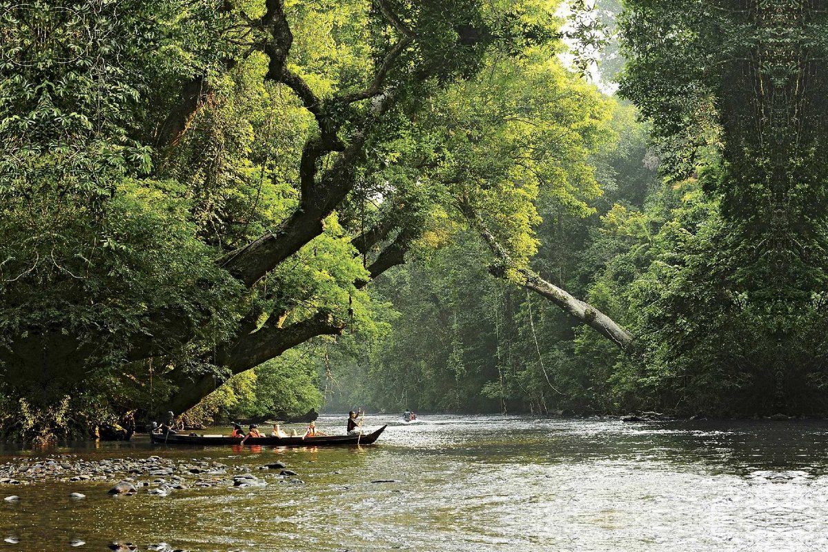 xcaperesort's tweet photo. Free yourself from hustle &amp; bustle of city life.Back to Nature – Explore, discover and enjoy Taman Negara. https://t.co/sTdEvtr8xh