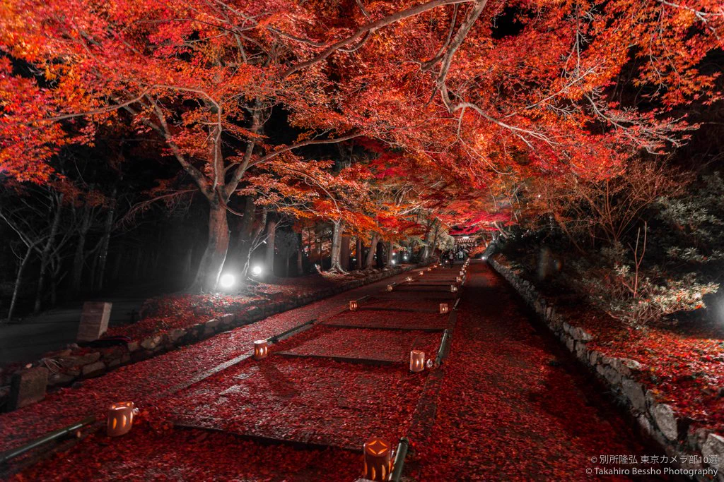”深紅のじゅうたん”のような京都の紅葉が美しすぎるｗｗｗ