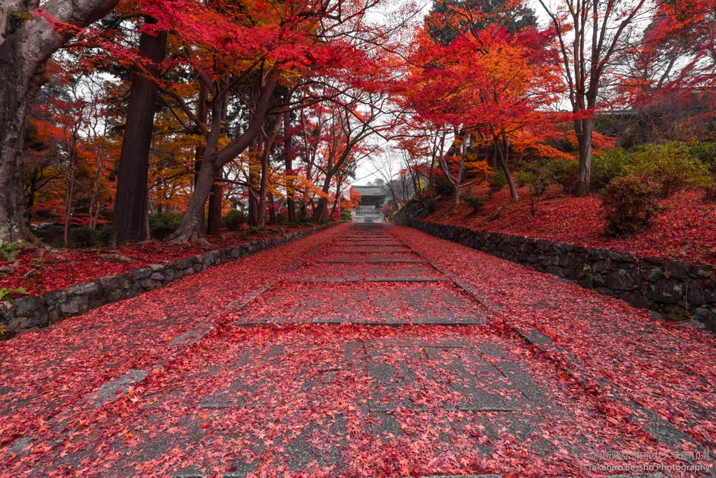 ”深紅のじゅうたん”のような京都の紅葉が美しすぎるｗｗｗ