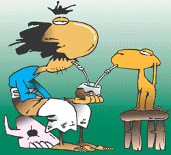 Nada más lindo que tomar un mate entre compañeros. #DiaNacionalDelMate