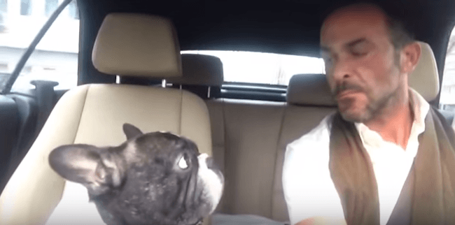 TrendNova's tweet photo. Wanneer hij zijn lievelingsmuziek nummer hoort, doet deze bulldog iets wat ik nooit had https://t.co/cORkdTsUT8 https://t.co/wVrJ6WJARM