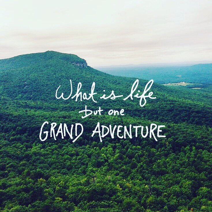 TheRealHotelGuy's tweet photo. "What is life but one grand adventure" #quoteoftheday #adventure #magicalmonday #inspiration #life #thehotelguy https://t.co/5ZPH0iMVI1
