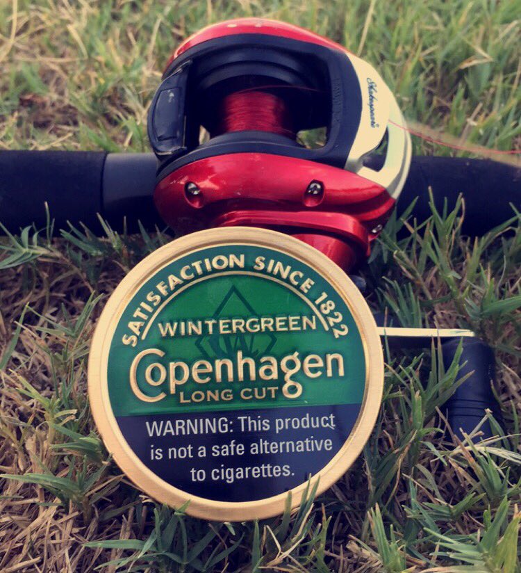 _packdipspit's tweet image. Copenhagen wintergreen 😍