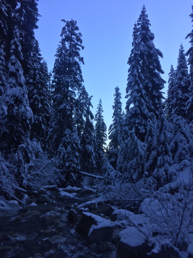 TheAlSimpson's tweet image. It's cold up in Seattle. #winterstream