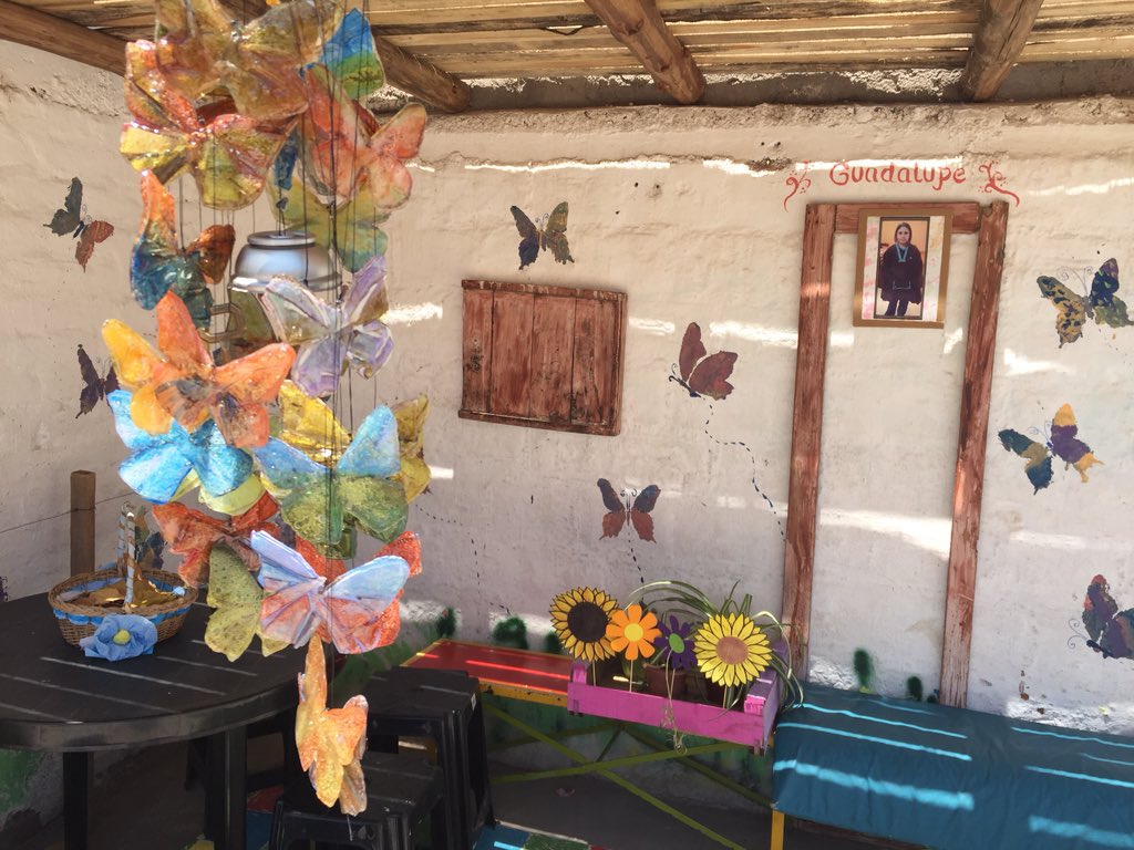 CuyoNoticias's tweet photo. Sentido homenaje d compañeritas a #guadalupecodes donde un lugar del pequeño patio tiene su foto y miles d mariposas https://t.co/lMmgXMRo13