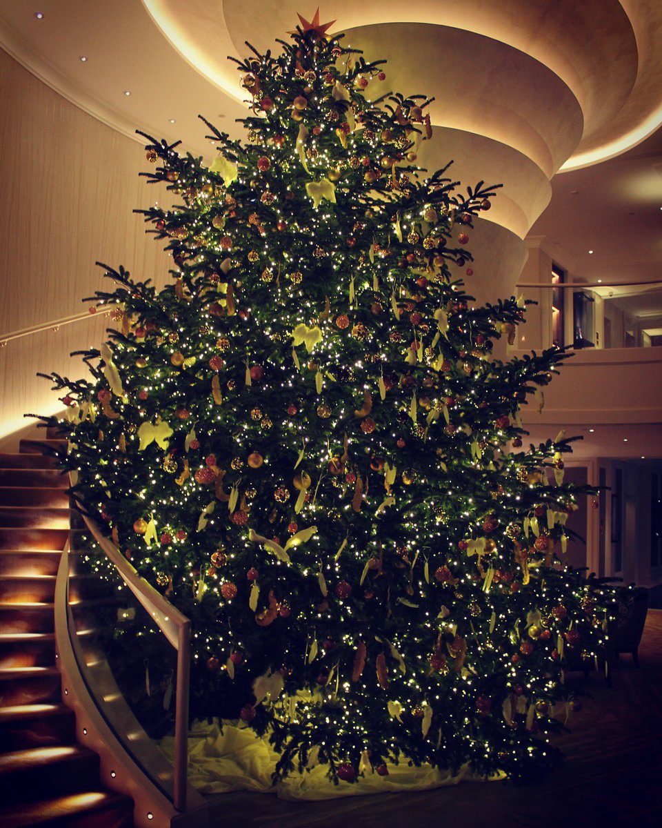 MO_MUNICH's tweet photo. Christmas is coming to town…#Munich 🎁🎅 #ChristmasCountdown
#NotYourAverageTree 🎄 #travel https://t.co/O46ICdTF0i