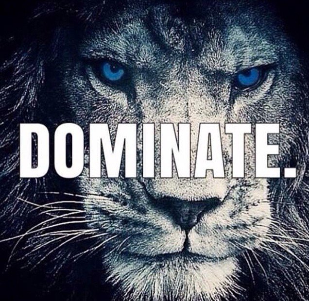 Dominate everyday!
