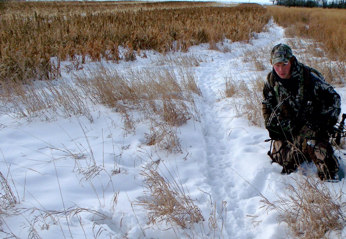CarbonExpress's tweet photo. What is the #secondrut and how should you hunt it?
https://t.co/kNkTGUj9Sm https://t.co/J5OYqk3lCI