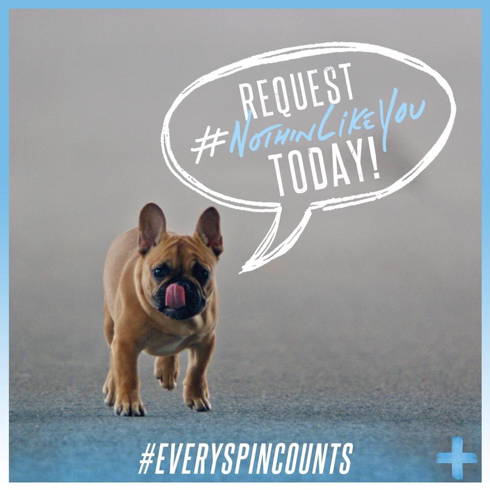 DanAndShayFan3's tweet photo. @DanAndShay Woohoo! #NothinLikeYou is on @NASHGRANDRAPIDS again! #NumberOnePushWeek #EverySpinCounts ππβπΆπΈπ€ππ»ππ» https://t.co/rWP9eGFCy3