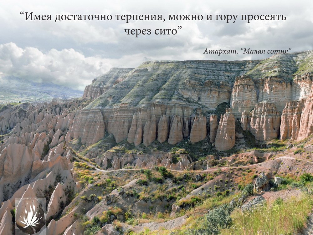 Янкун Анна tweet media