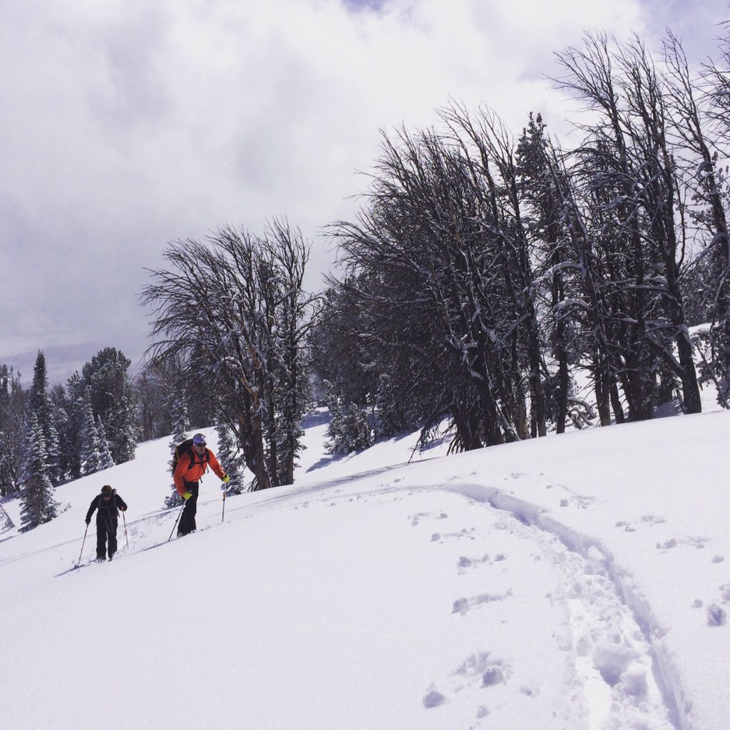 JHMtnGuides's tweet photo. Get out now with us to play in the snow, cold temperatures and great conditions #tetontuneup #myjhmgstory https://t.co/wKjgWZf4ii