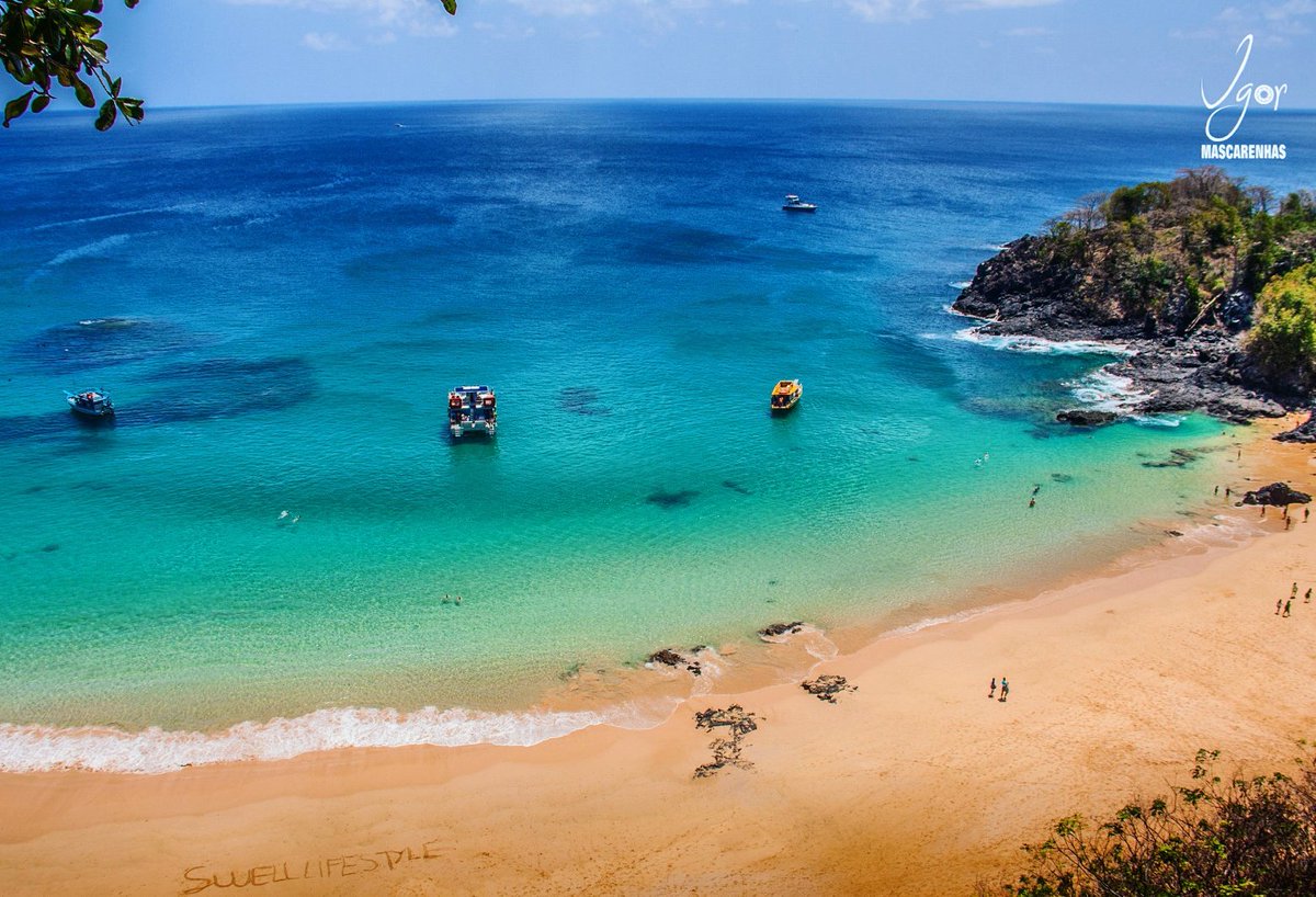 swell_lifestyle's tweet photo. O Paraíso "Fernando de Noronha" também é Swell LifeStyle!!! " "
#SwellLifeStyle 
https://t.co/23W74XM60e https://t.co/5VYnzsoRCj