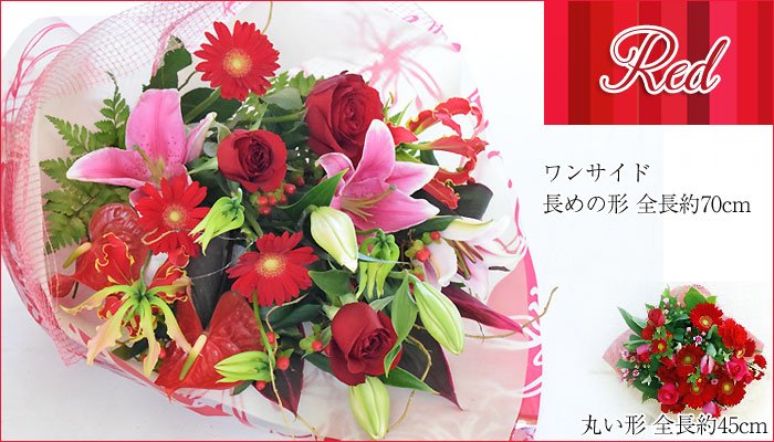 panyreqacako's tweet photo. 花束 お誕生日 プレゼント 花 フラワー 退職祝い 祝い 女性 母 人気 送別 退職 誕生日プレゼントに◎ スタンダード花束クリスマス お歳暮 お正月 花 【送料無料】【あす楽対応.
https://t.co/9jYJf1GAxs https://t.co/o3uvVh4zkw