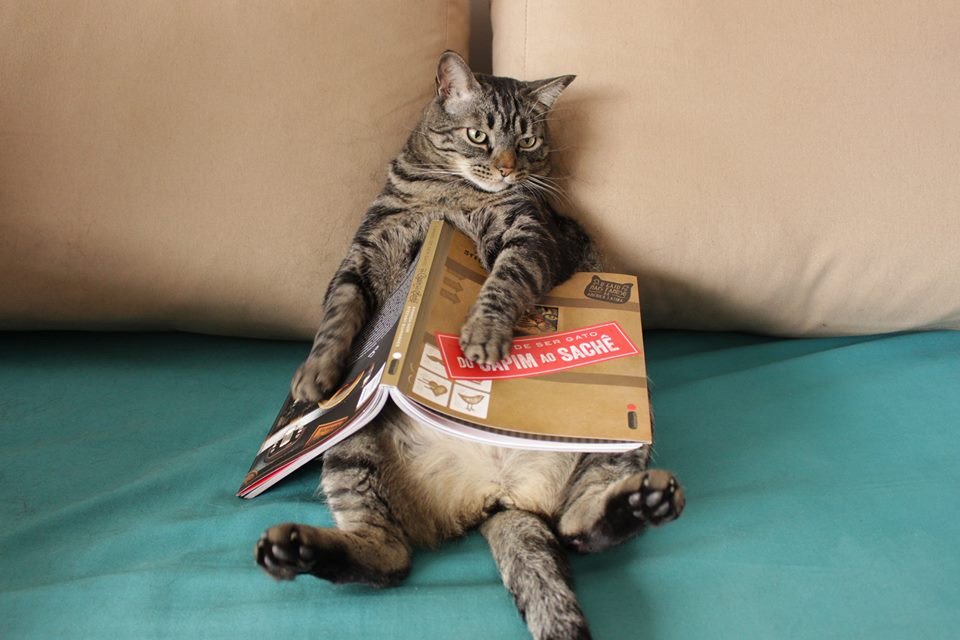 intrinseca's tweet photo. Chico cansou de ser gato e virou astro. Confira na @VogueBRoficial algumas de suas fotos: https://t.co/LDDo6llAb0 https://t.co/seYz4v4Rvy
