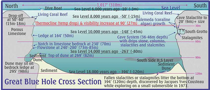 blovesci's tweet photo. Blue holes formed in the ice age when sea floor expanded and sea levels dropped #science #ghsapes https://t.co/kefelnSMrn