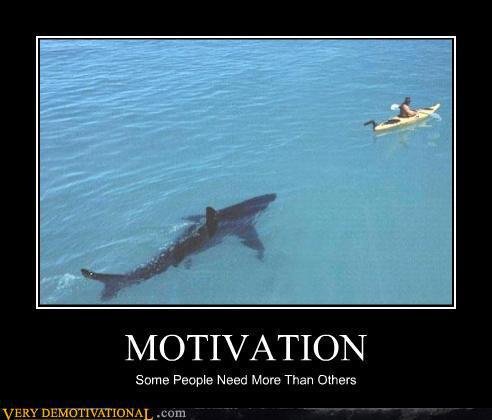 AztekPaddles's tweet photo. Happy Monday! Hope you had a great Thanksgiving weekend. Here’s some motivation to get you up and moving. https://t.co/yO0oeHH1Kw
