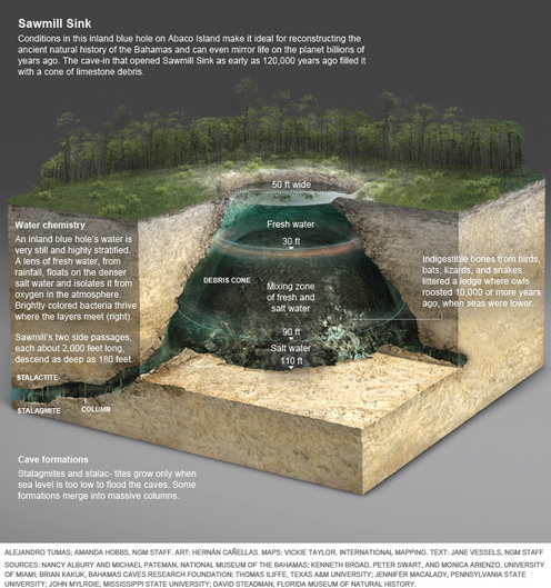 blovesci's tweet photo. #sawmillsink #ghsapes https://t.co/5C2xj5QEZK