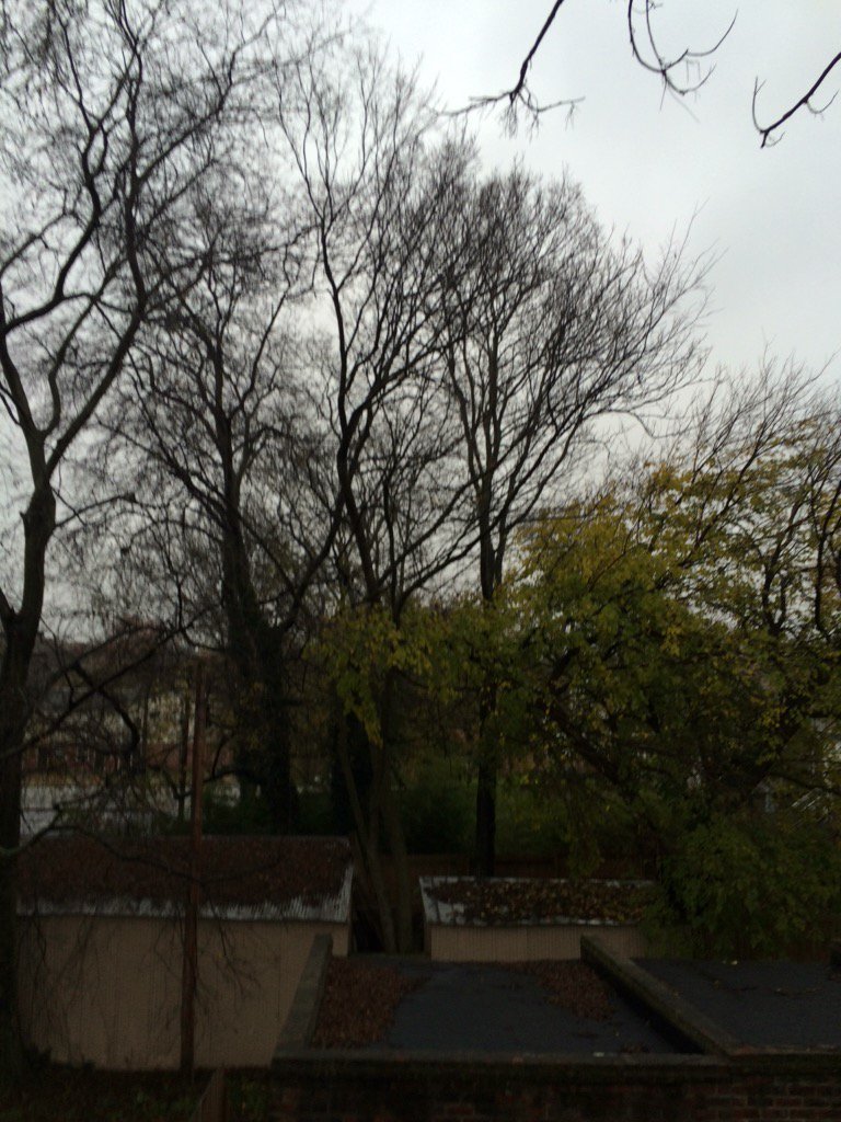 Since its raining in #rva and #CyberMonday you can stay home skip work and order from a local spot  <a href="/quicknessrva/">Quickness RVA</a>