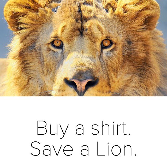 SaveALion's tweet photo. It's #CyberMonday! Give the gift that gives back to #Lions. Learn more! https://t.co/gClF53zlvM #BigCatWeek https://t.co/Fq0SjcQoKG