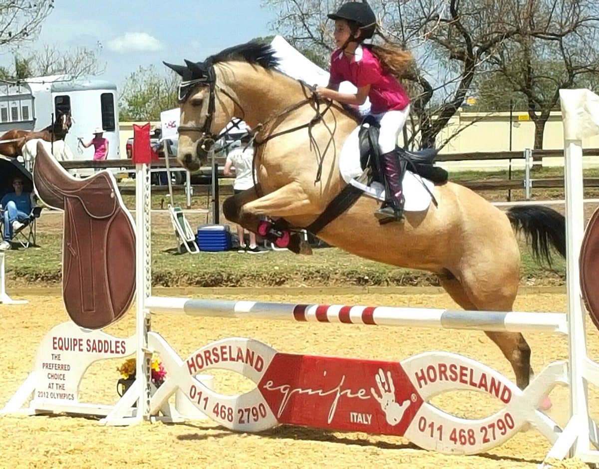 Joostvdwesthuizen tweet media