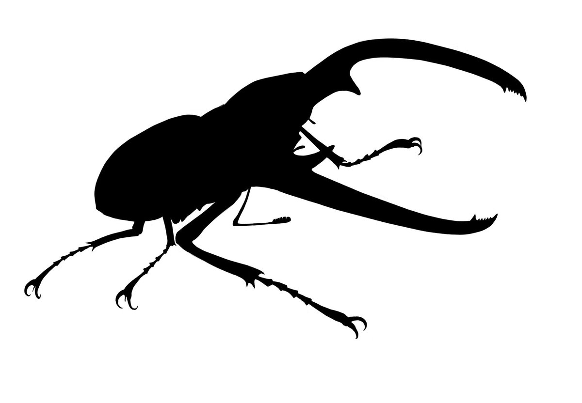 速水融次郎 自己流クワガタの描き方 1 写真を見ながらシルエットを描く トレースでもok 2 白で明るい部分を描く 3 覆い焼きでテカらせる 4 オレンジの毛とか描いて薄っすら色を乗せて完成 T Co Fsssxacjt4 Twitter 速水融次郎 自己流クワガタの描き方 1 写真を見ながらシルエットを描く トレースでもok 2 白で明るい部分を描く 3 覆い焼きでテカらせる 4 オレンジの毛とか描いて薄っすら色を乗せて完成 T Co Fsssxacjt4 Twitter