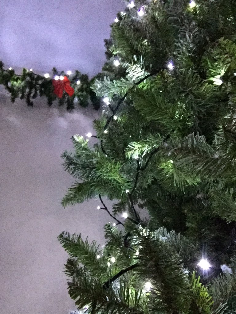 grandsure's tweet photo. It may be far too early but it does look just lovely 🎄 https://t.co/t92blk0C5H