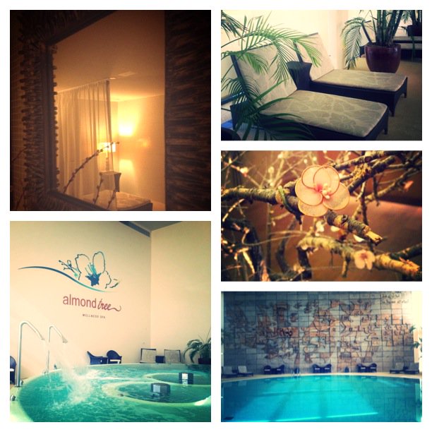 Almond Tree Wellness Spa