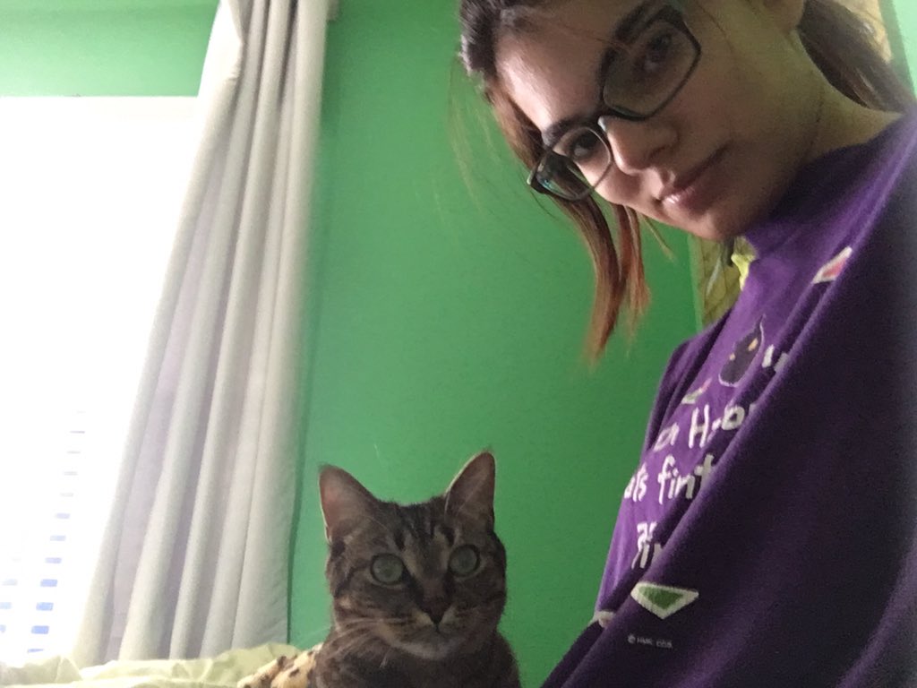 CheekieGeniuses's tweet photo. Eva likes hanging out too! #cats #cat #tabby #eva #kitties #gamerkat #nintendo #xboxone #CyberMonday https://t.co/1j93RAbEAr