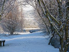 NatureInDevon's tweet image. December is so close we can almost smell mince pies,and we all know what that means, Let's hope it's this beautiful!