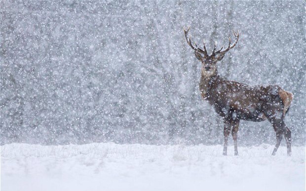 TipsAgainstAcne's tweet photo. The cold weather along with indoor heat will cause your skin to become drier. #WinterAcne https://t.co/Paywje8NGS