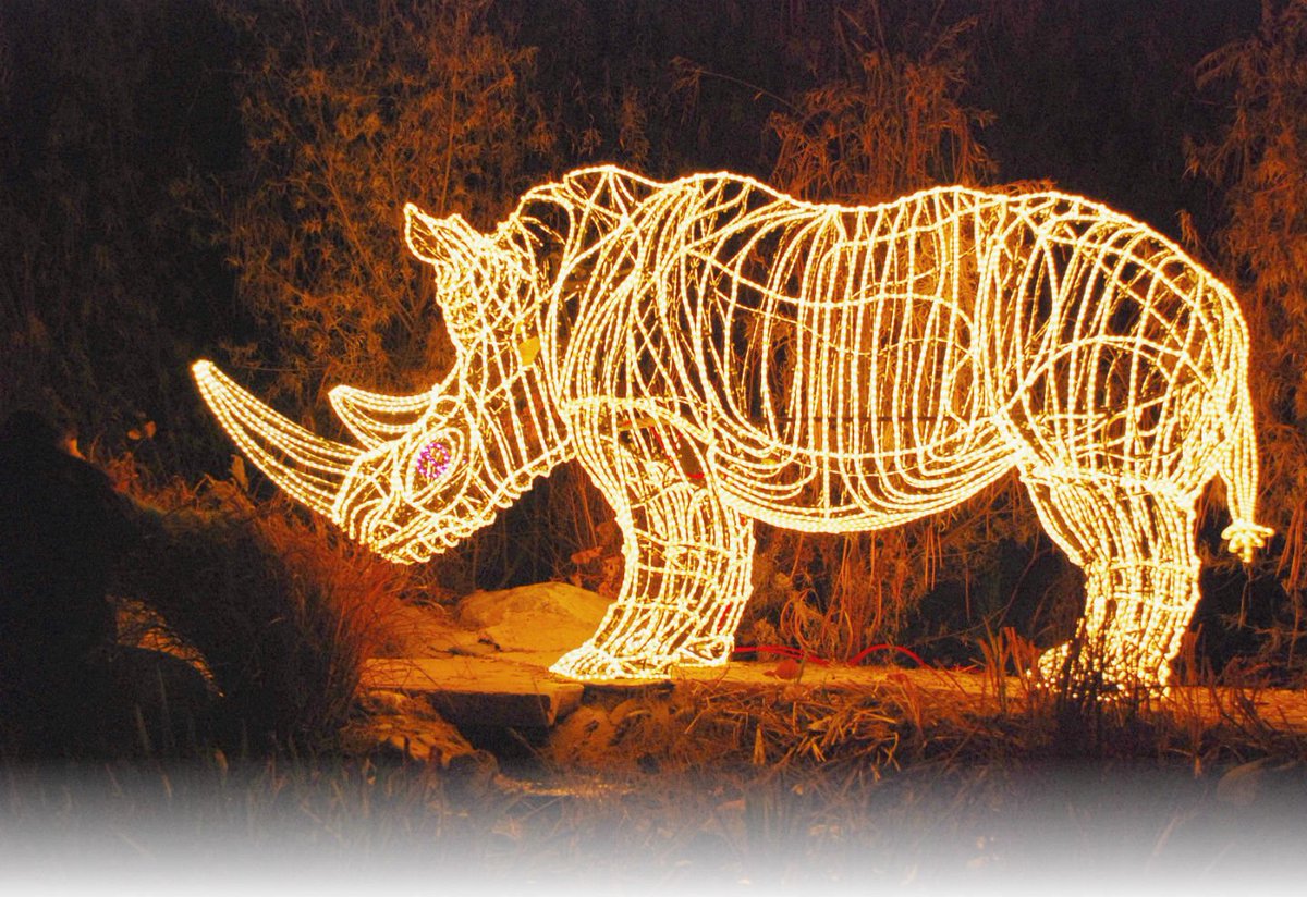 cabq's tweet photo. Don't miss @abqbiopark River of Lights this holiday season: https://t.co/TPT4Z12Boh #ABQfun https://t.co/85dSJfX7Jm
