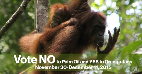 Asian Wildlife FDN tweet media