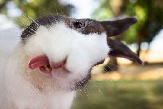 curiosity_media's tweet photo. ¡Buenos días!  #FelizLunes #GranSemana https://t.co/EfhsXBGhCd
