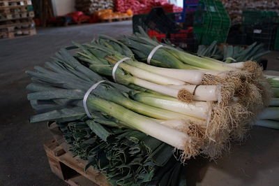 FrutasSamper's tweet photo. ¿Hay algo más natural? De la huerta a tu puerta con Frutas Samper, contacta con nosotros en https://t.co/vNwYZXHFte https://t.co/GIn9pU8gZo