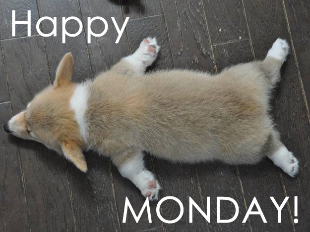 Wordament's tweet photo. Who's going strong this morning? I need more coffee!! https://t.co/THO3TUr01V