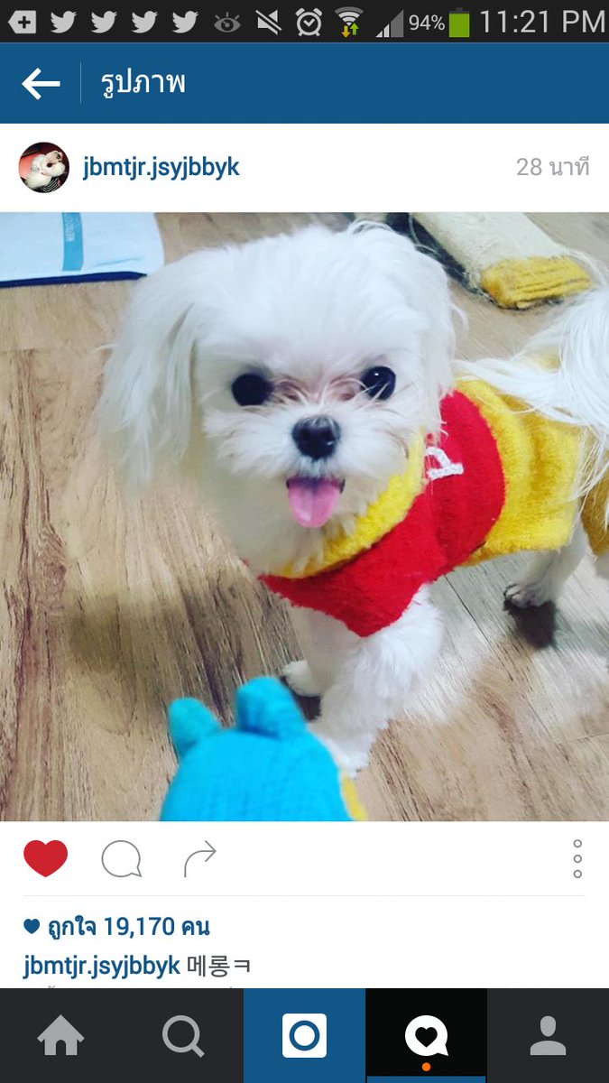 mark_honey1's tweet photo. [151230] #Youngjae #GOT7 update IG 메롱ㅋ #PapaCoco #CocoGot7 https://t.co/vmAp48EsD5
