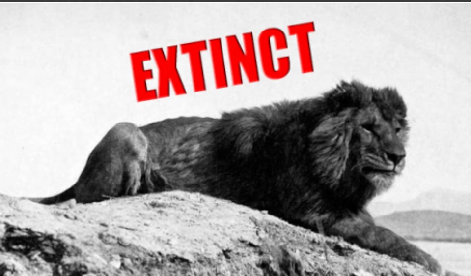 Here’s Every Single Animal That Became Extinct In The Last 100 Years 
goo.gl/jH5XOm
#LostSpecies