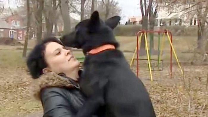 Cagnolina percorre 320 km per tornare dalla donna che l’ha soccorsa dopo un incidente goo.gl/0Jtlke