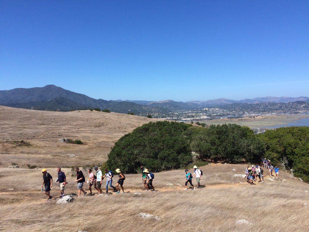 ecsaibel's tweet photo. @JayGreenlinger @jcorippo @TheWeirdTeacher @WaggonerRobert #openairpd's toughest task: choosing where to roam! https://t.co/v4xrR8J6BJ