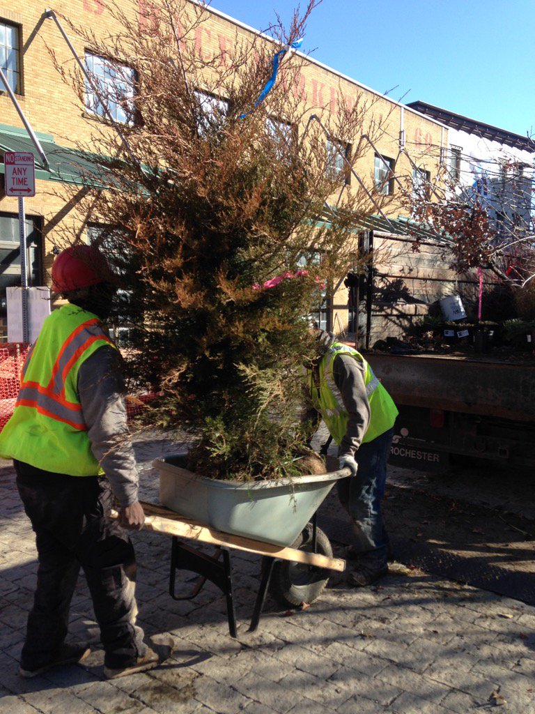HighFalls_ROC's tweet photo. Look what arrived today in #HighFalls? @greentopiafest's FlourGarden is shaping up! https://t.co/niBlQTTlRz