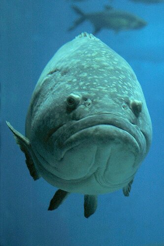 offshore_blue's tweet photo. Monday after Thanksgiving has us like https://t.co/pZFHcKU8Vj
