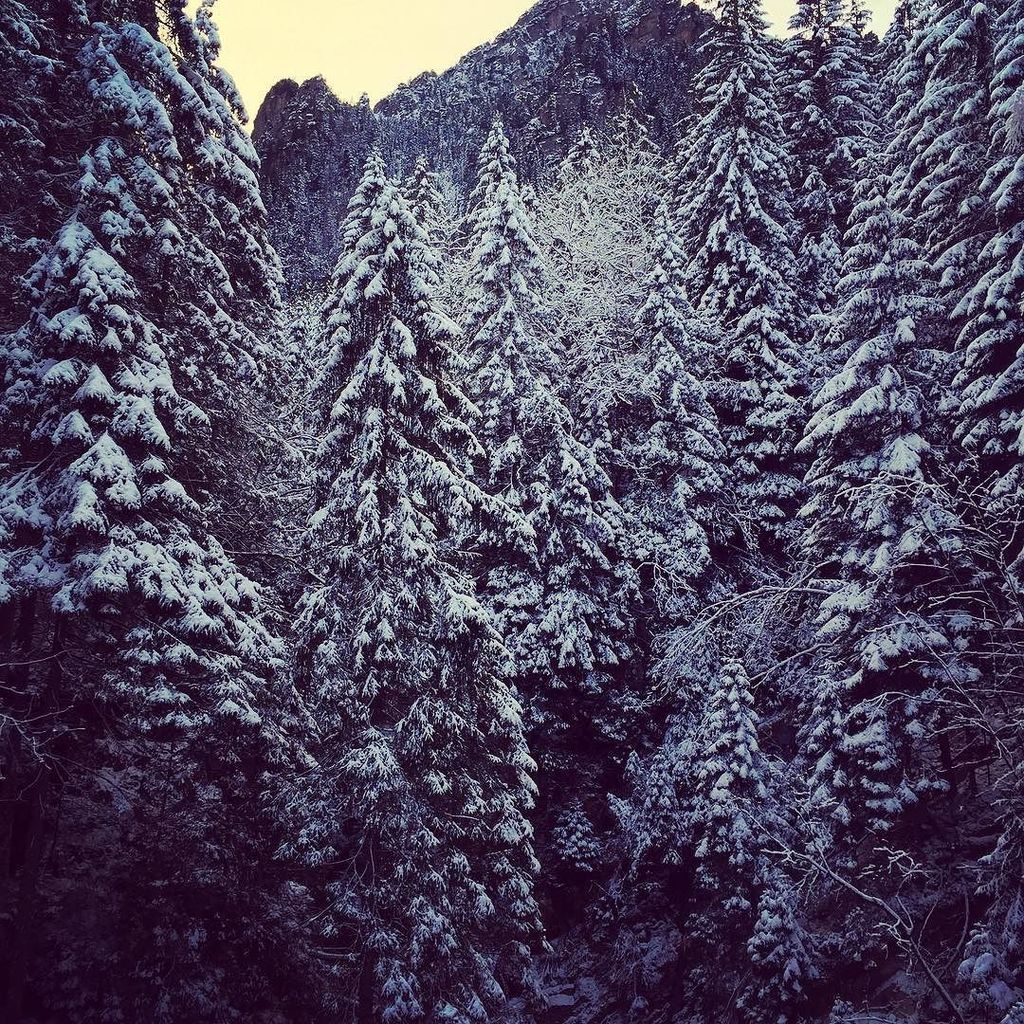 malgon007's tweet image. My mind today #missingmountains #tatry #tatrarunning #cantthink